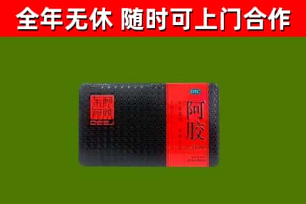 光明区回收阿胶