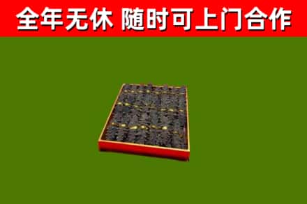 光明区回收海参